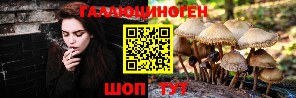 Галлюциногенные грибы Psilocybine cubensis  Вход с VPN  Кумертау  Псилоцибиновые грибы GOLDEN TEACHER 